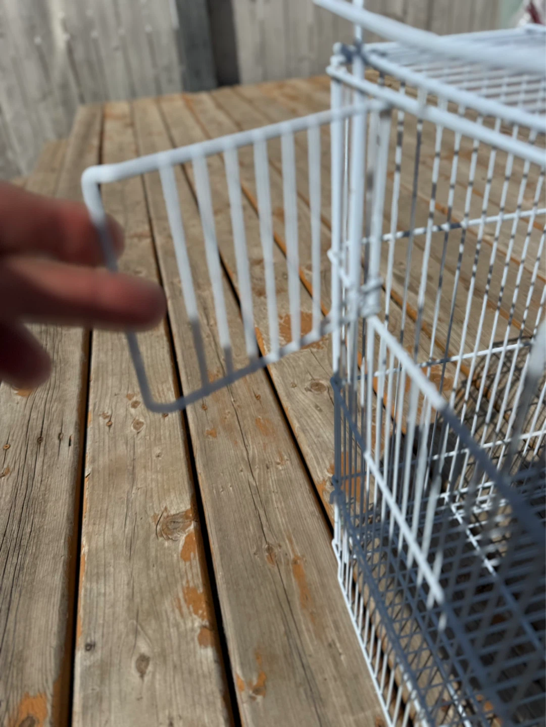 Extra Large Galvanized Zinc Plated Bird Cage - photo 4