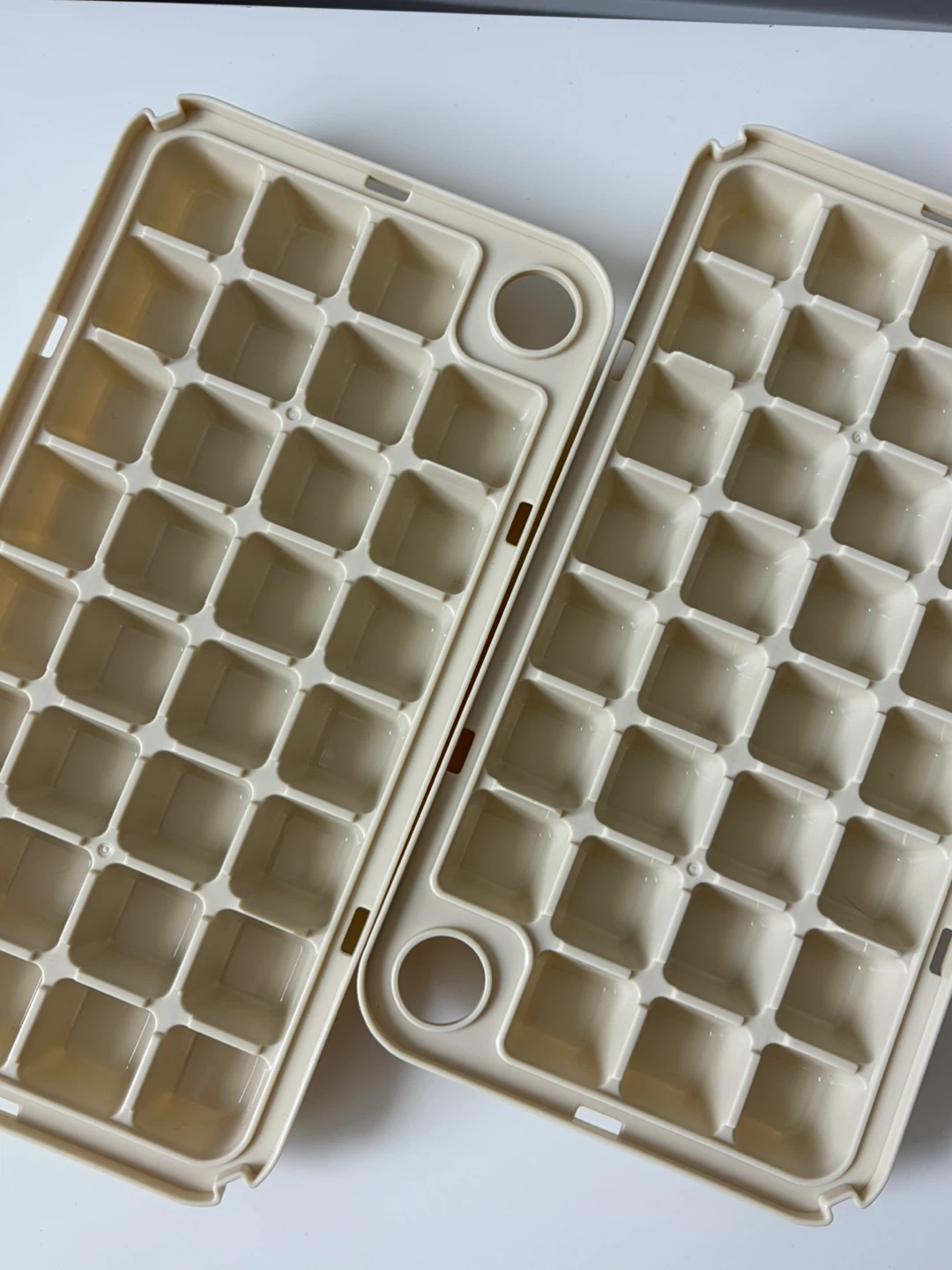 Beige Ice Cube Trays (2)