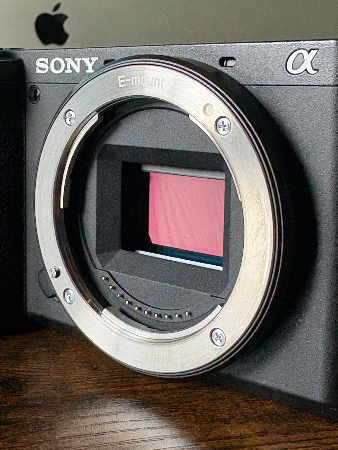 A6600 Body & Accessories - photo 3