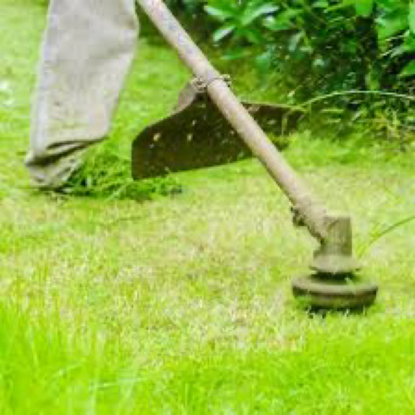 Lawn Mowing - photo 2