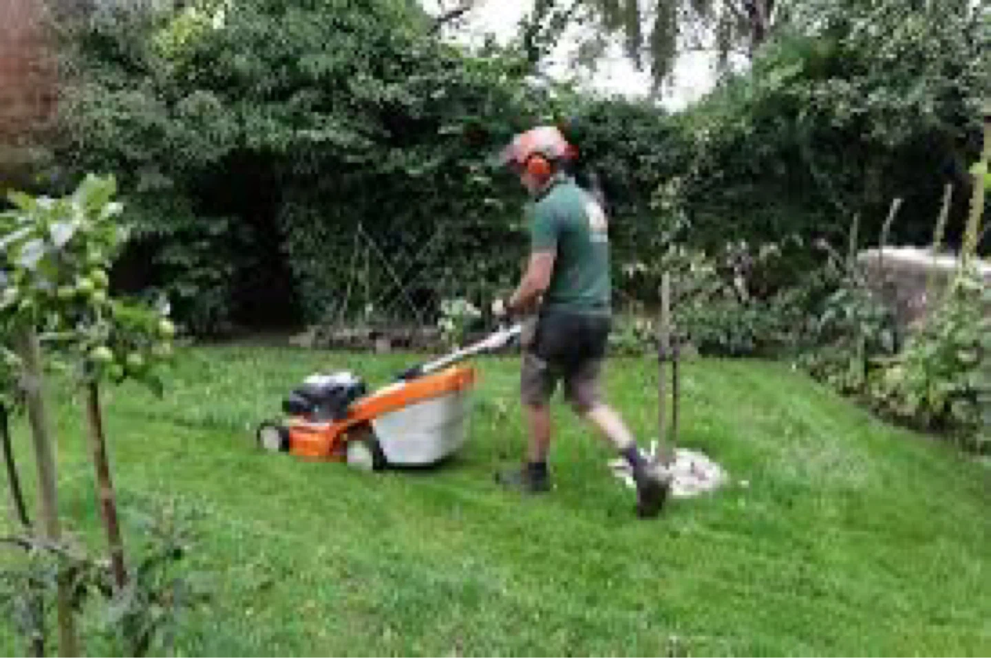 Lawn Mowing