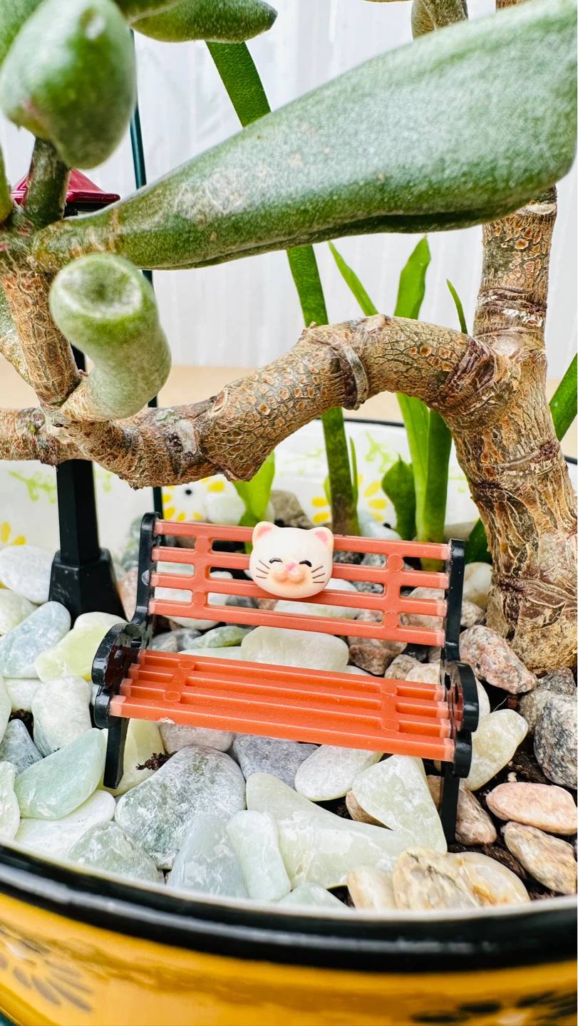 Spring On Sale for half price - photo 3