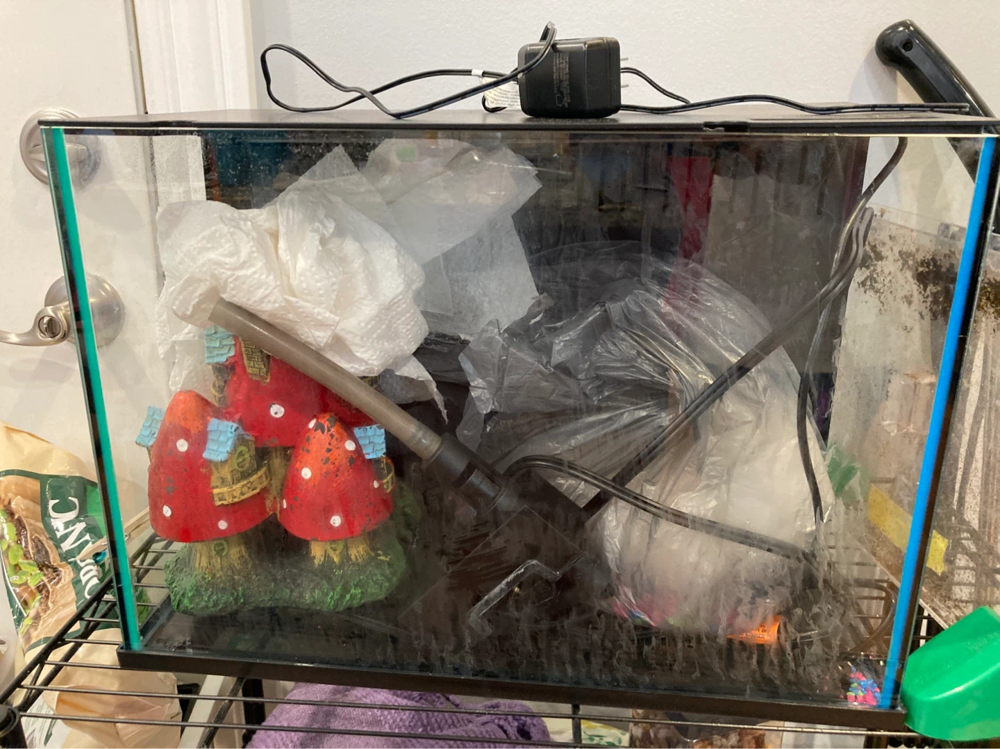 Glass Aquarium Tank