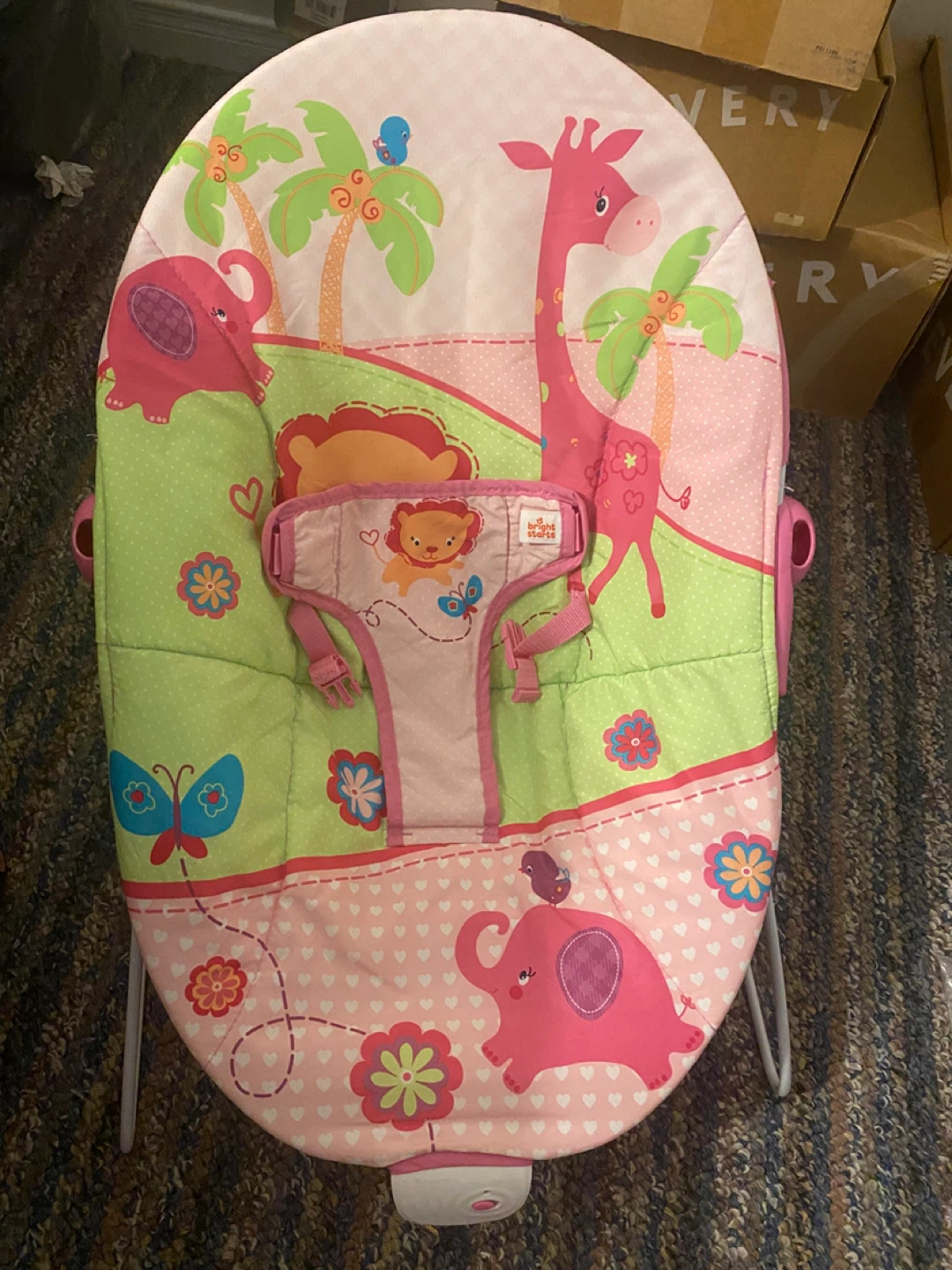 Bright Starts Baby Bouncer