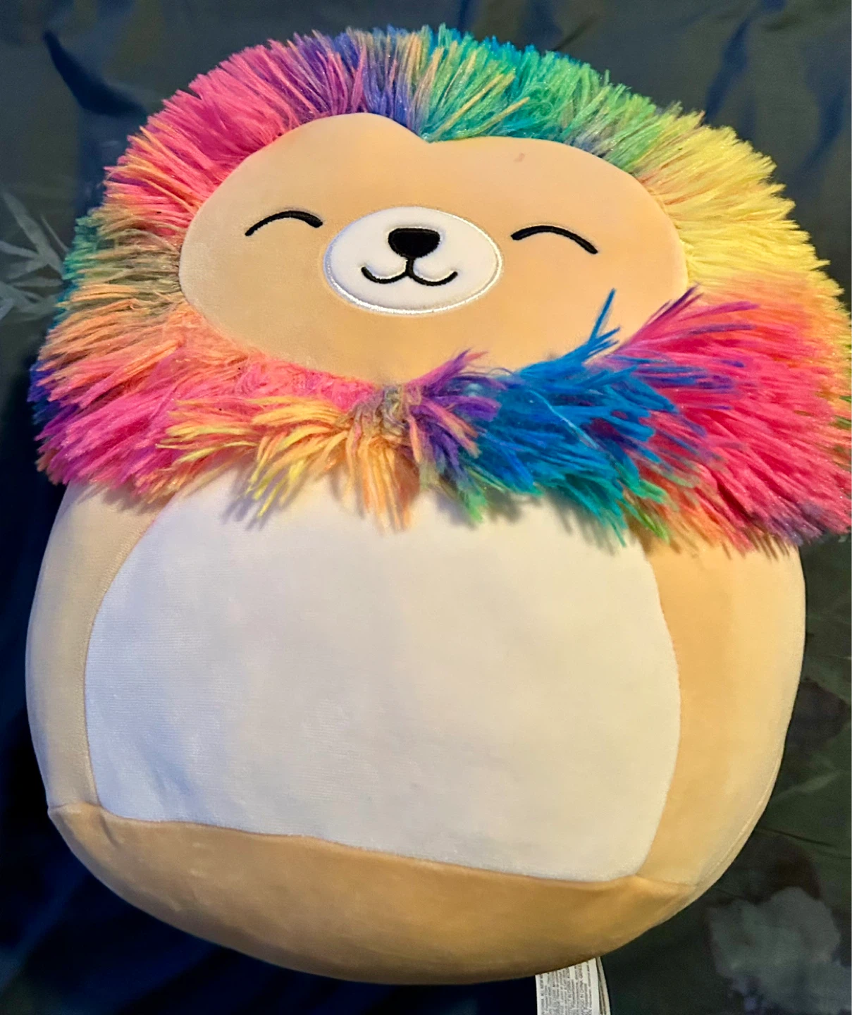 Squishmallows Rainbow Hedgehog Plush