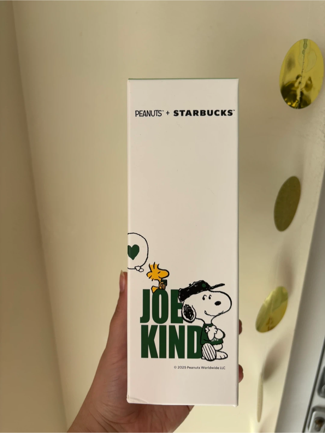 Starbucks x Peanuts Joe Kind Stainless Steel Tumbler 16 oz