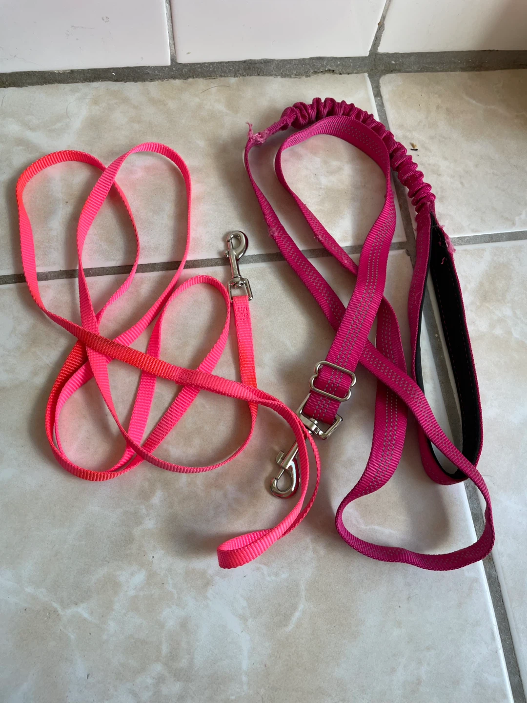 Small Dog Leashes