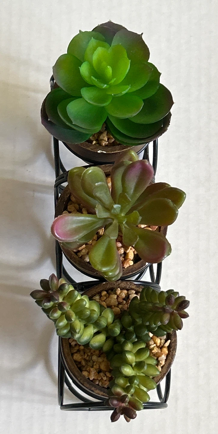 Faux Succulent Plants in Metal Holder - photo 4