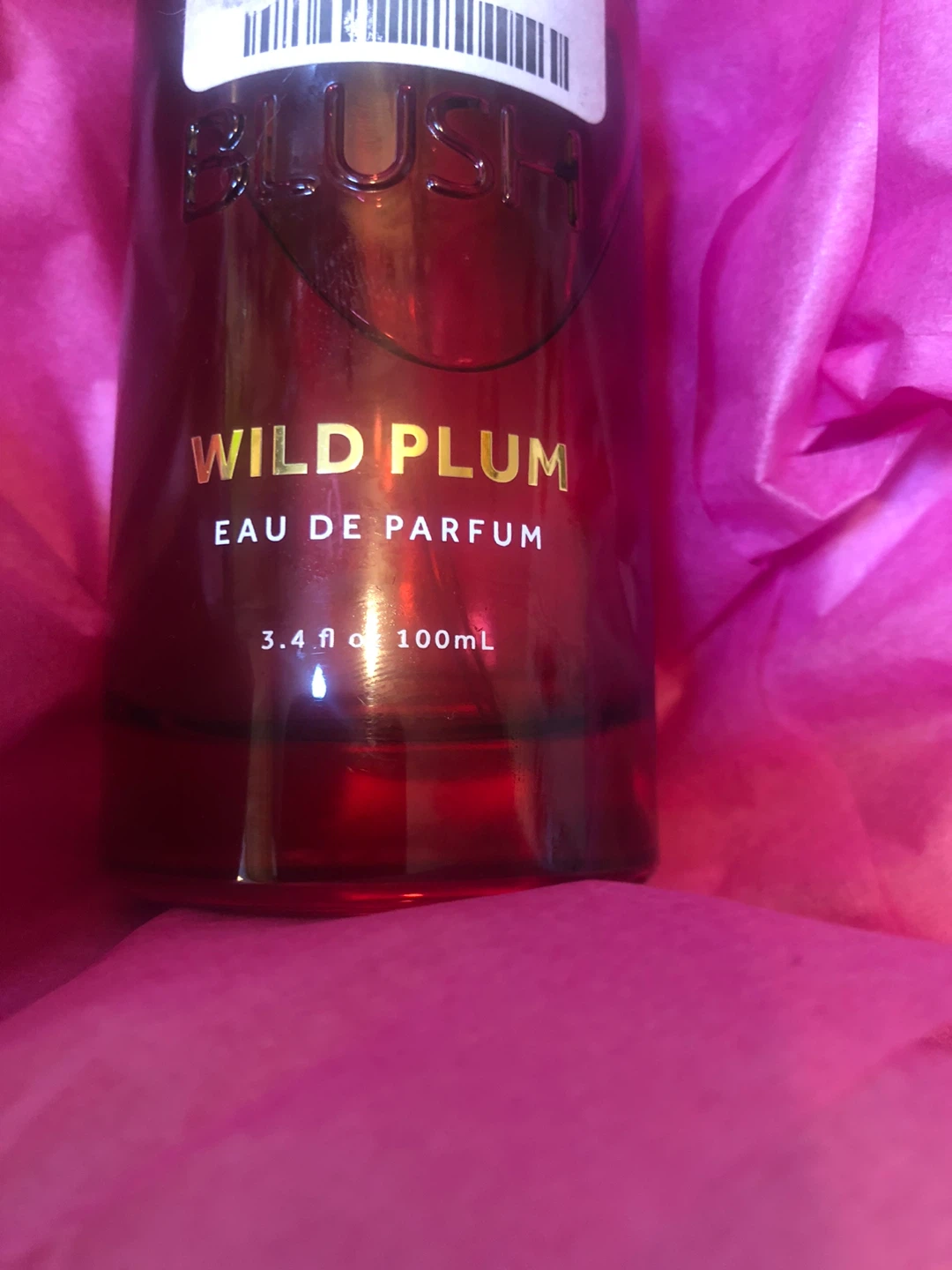 NEW 🌸BLUSH Wild Plum Eau de Parfum 100mL - photo 2
