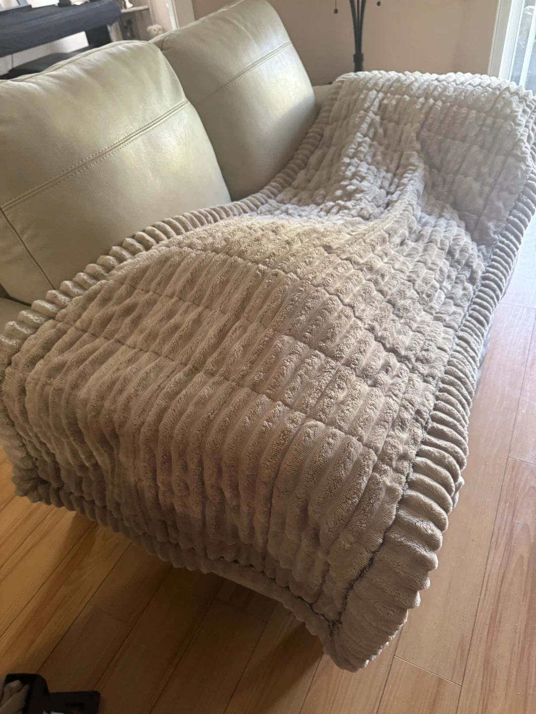 Cover protection for couch