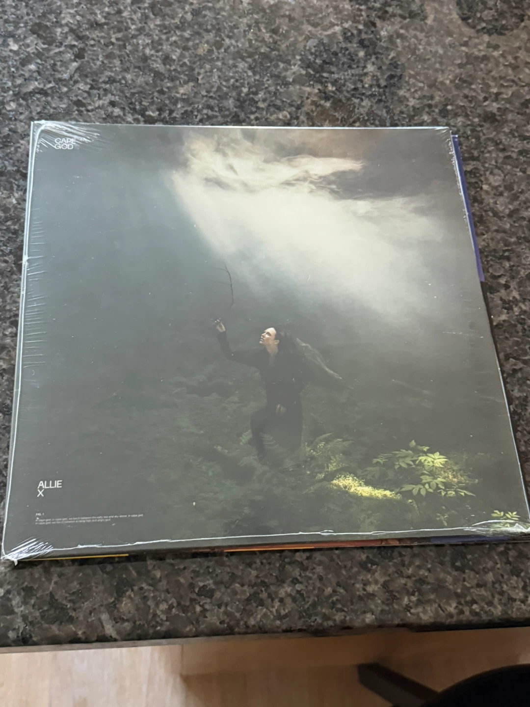 Allie X Cape God Vinyl Record - translucent Green vinyl