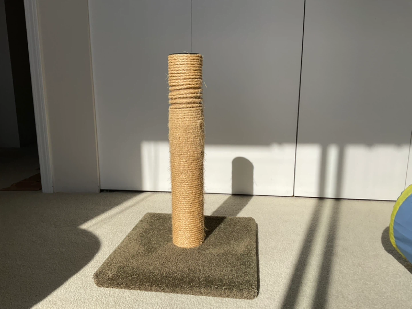 Free Heavy Duty Cat Scratcher Post