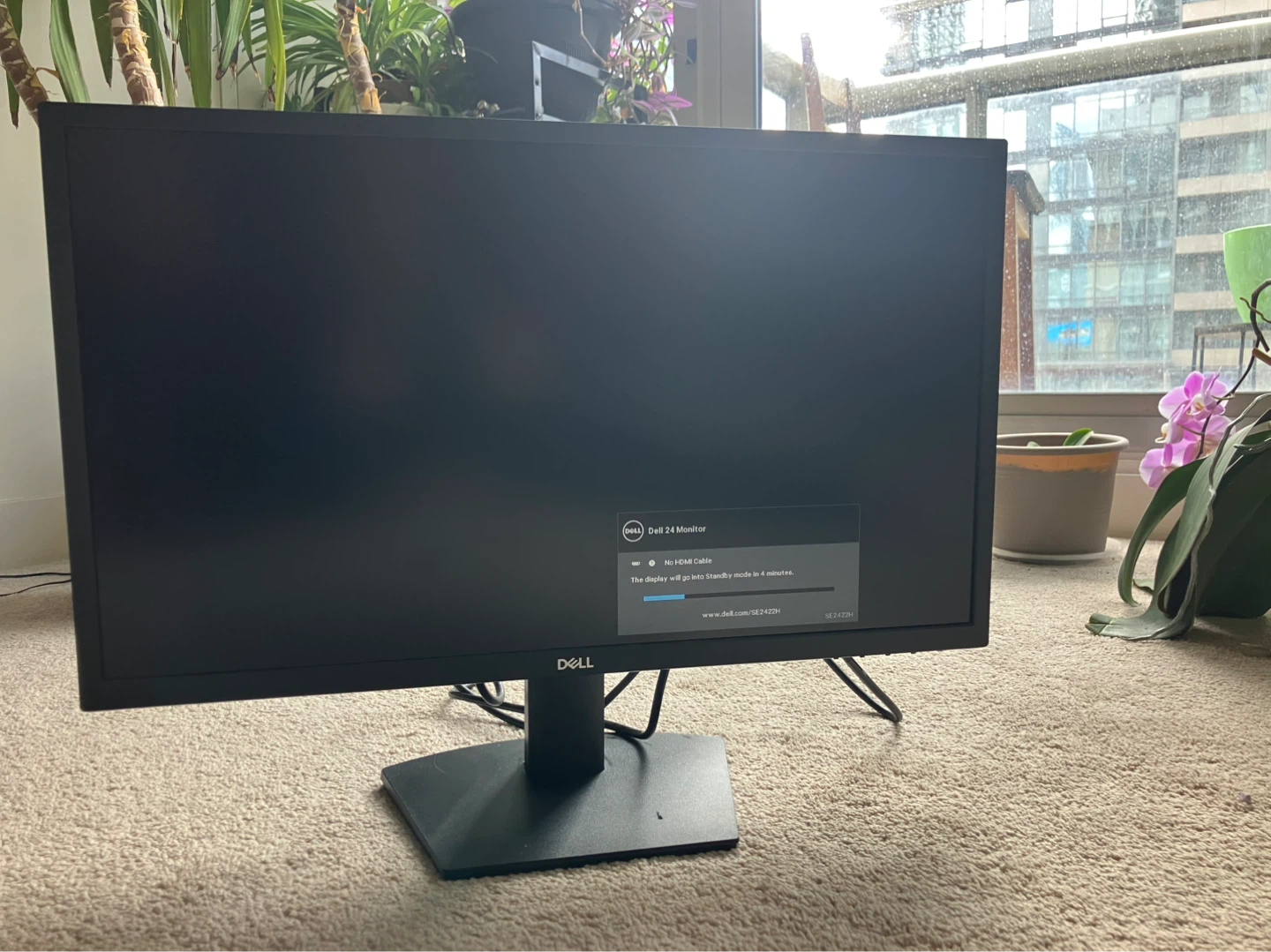Dell 24 Monitor SE2422H - photo 4