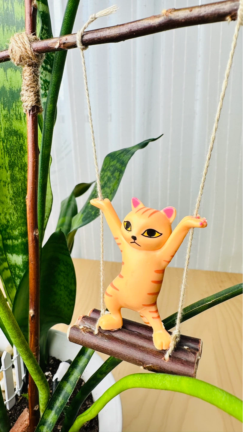 Super cute & low maintenance plants on Sale - photo 2