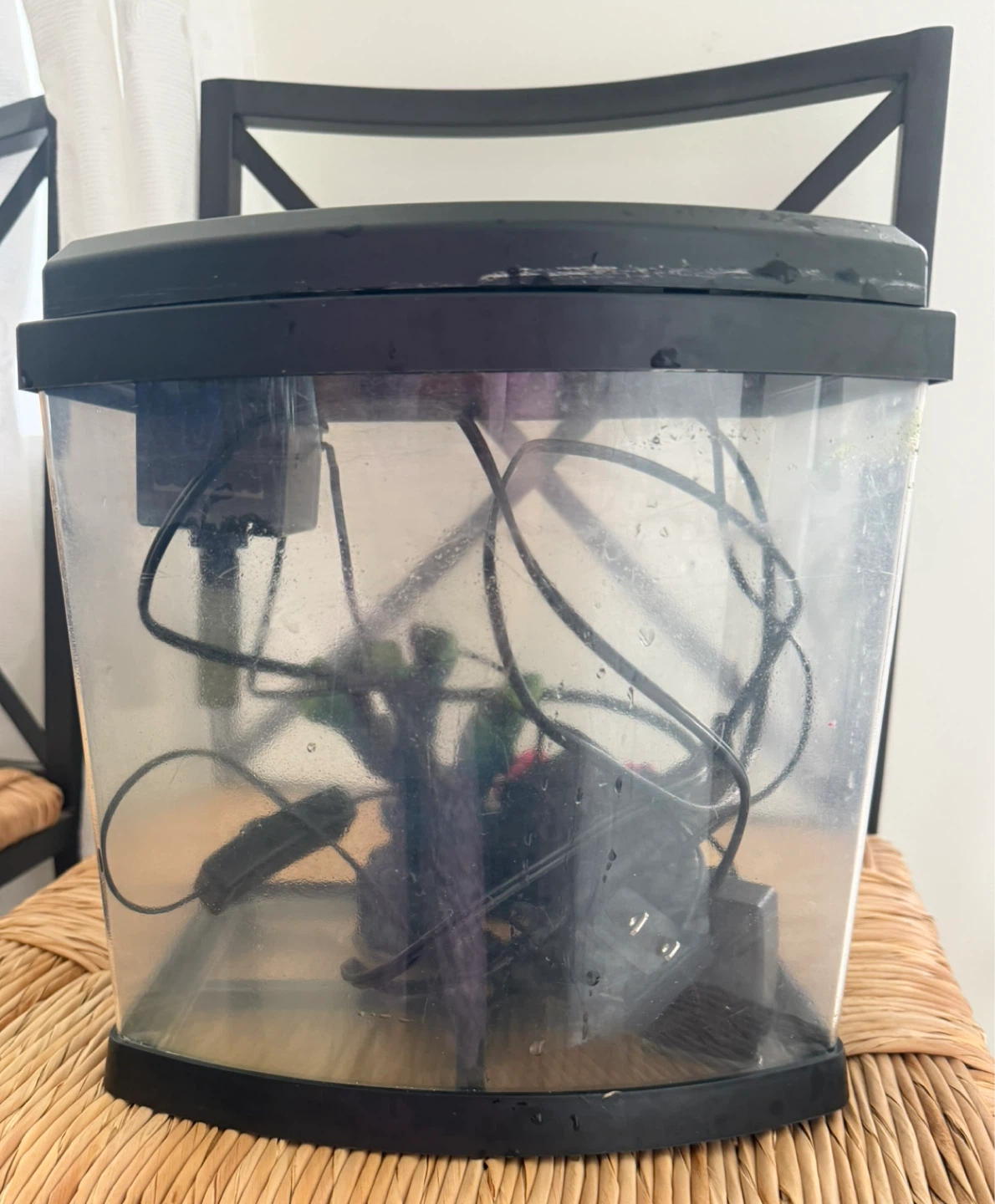 Small Aquarium