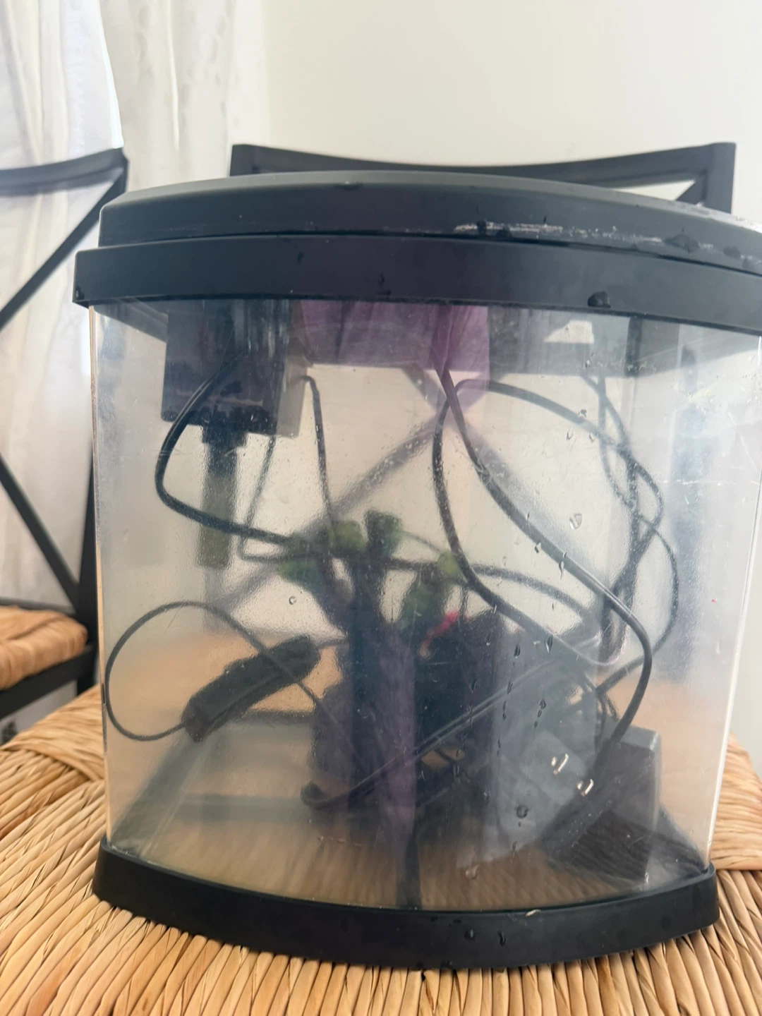 Small Aquarium - photo 2