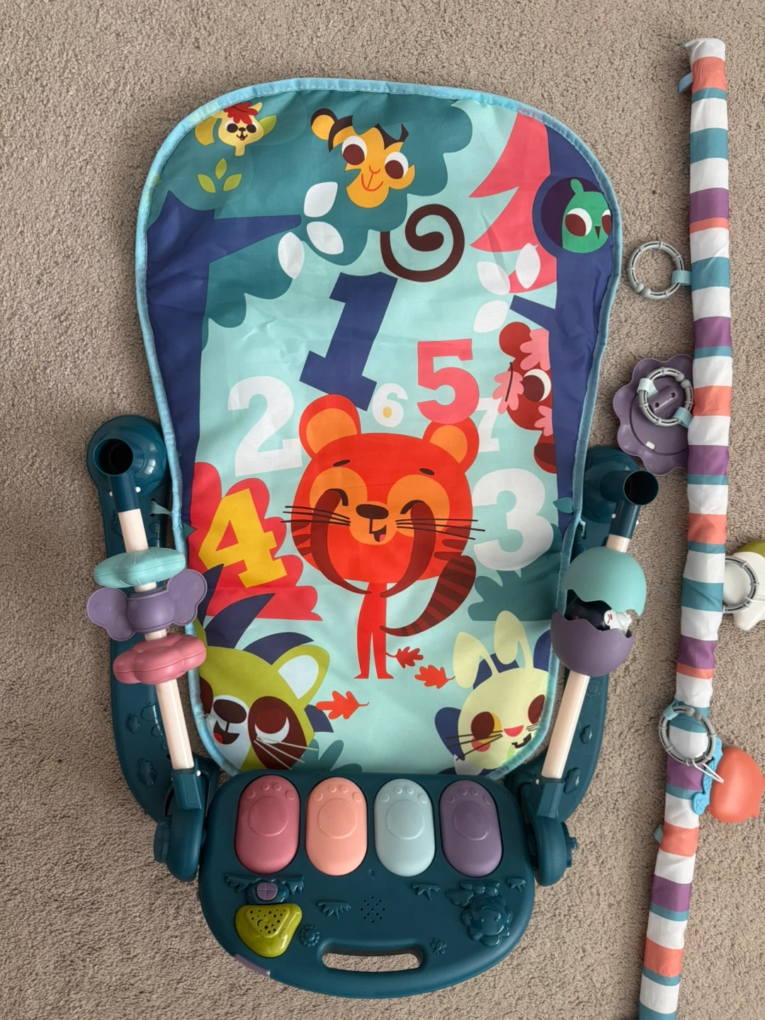 Baby Play Mat Gym