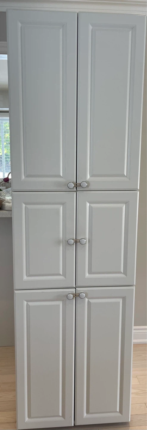 Cabinet $100