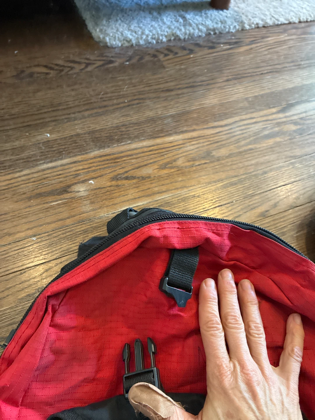 Earl Dales Community Day Camp Backpacks (2) - photo 2