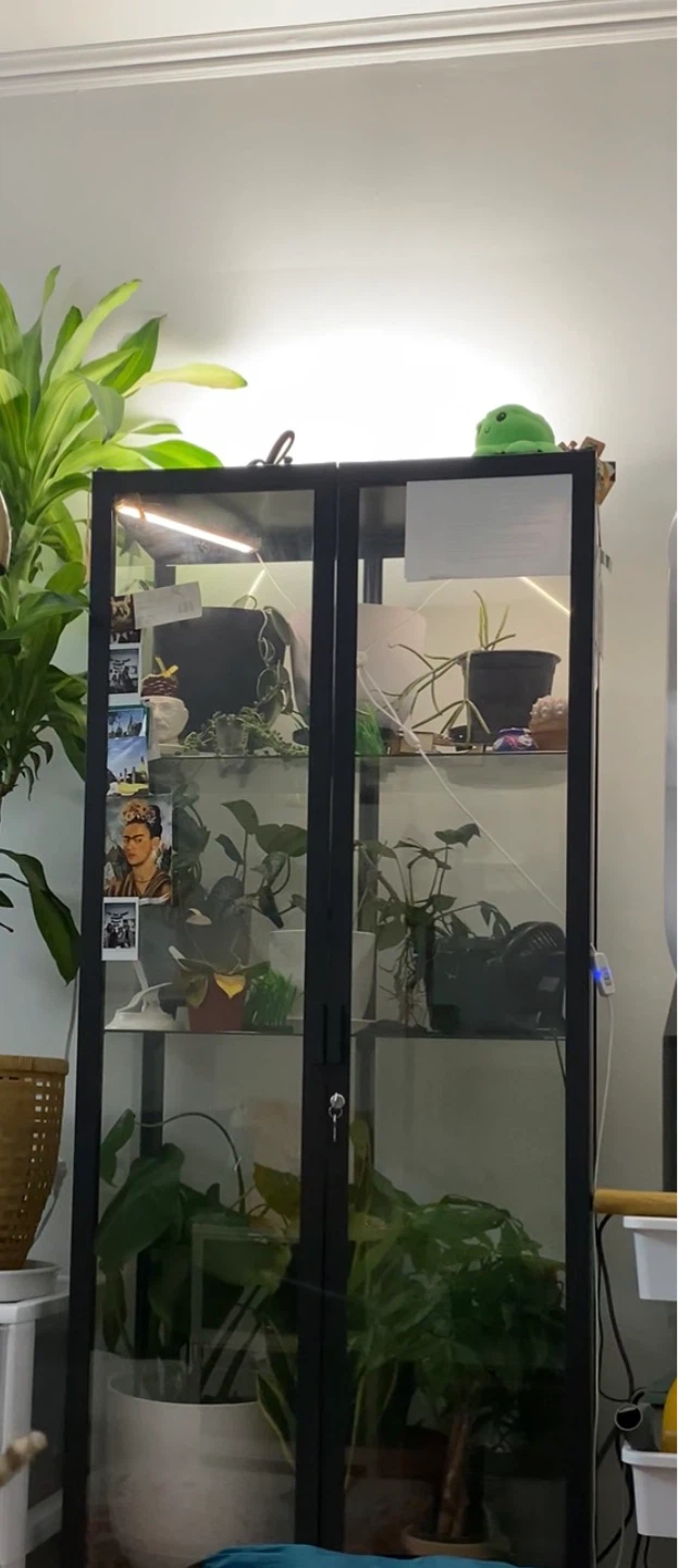 Glass Display Cabinet with Lights - photo 2