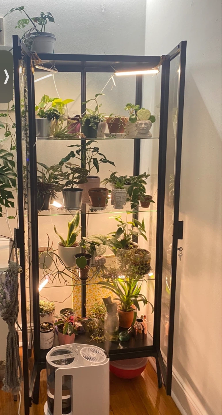 Glass Display Cabinet with Lights