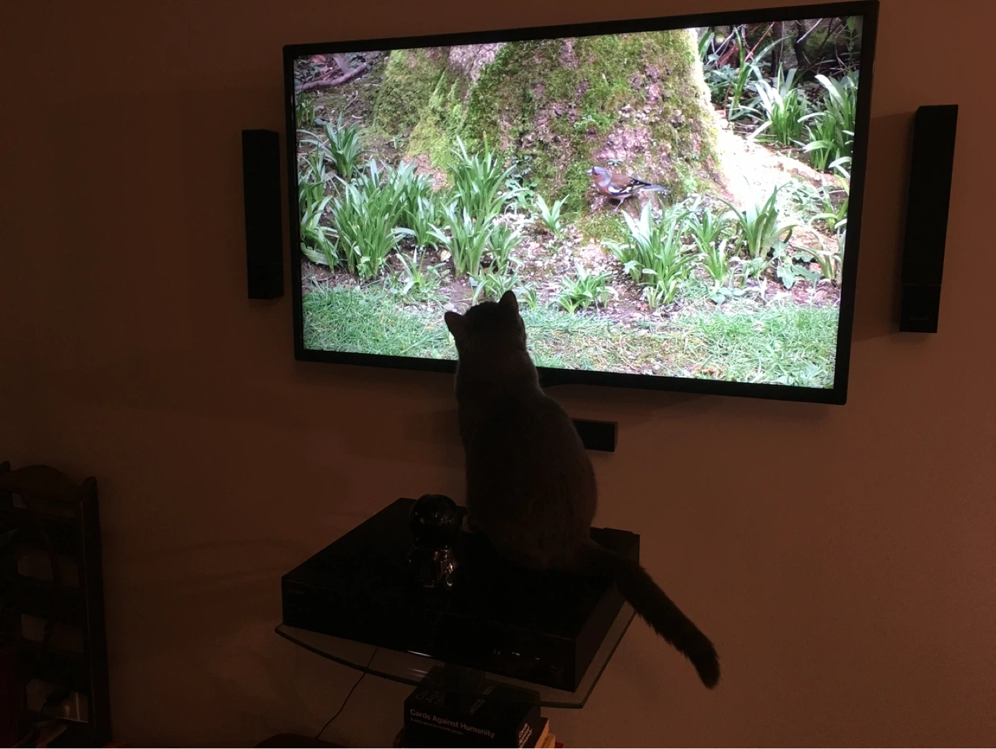 42” LG Smart TV (42LN5700-UH) - photo 4