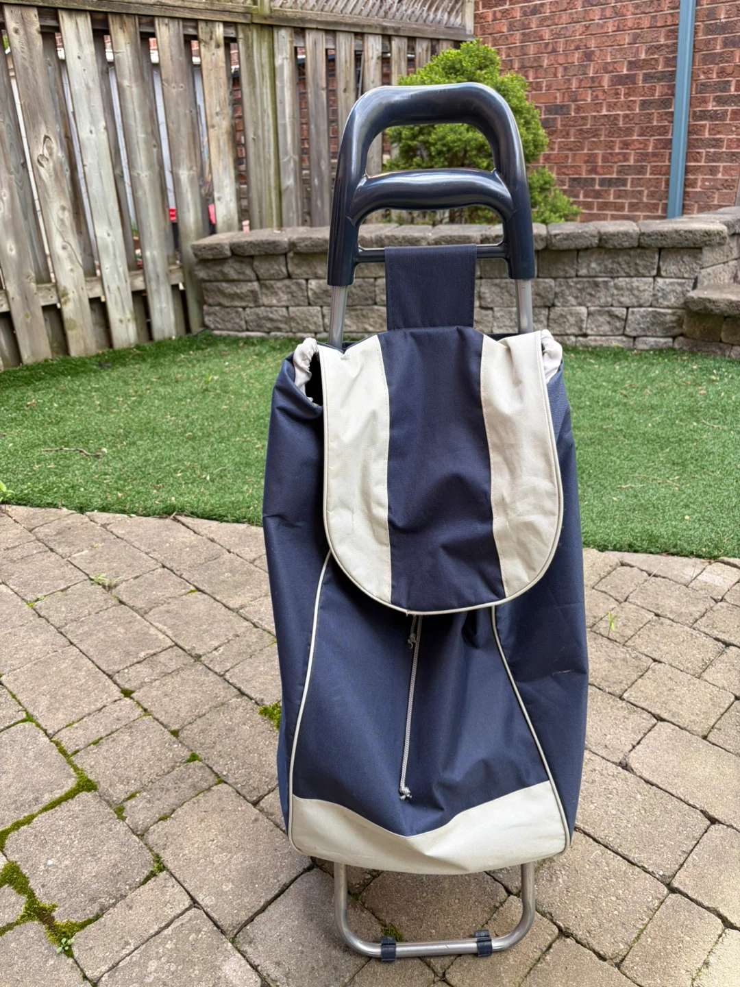 Navy Blue Rolling Shopping Cart