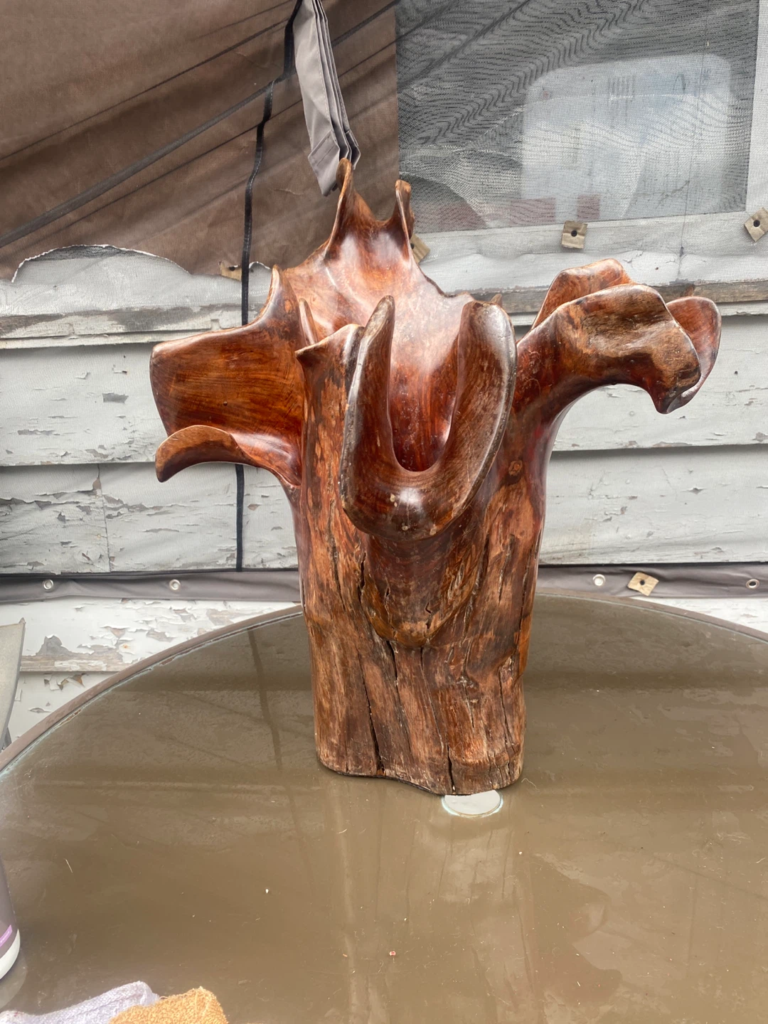 Hand Carved Teak Root Wood Sculpture - photo 3