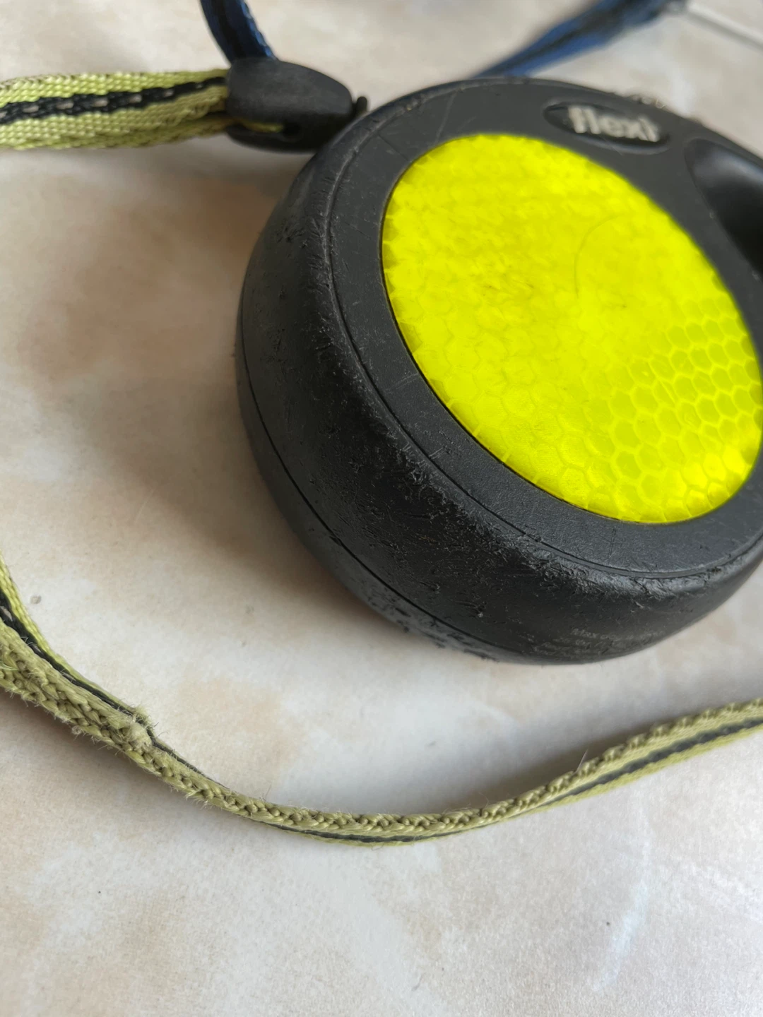 Retractable Dog Leashes - photo 2