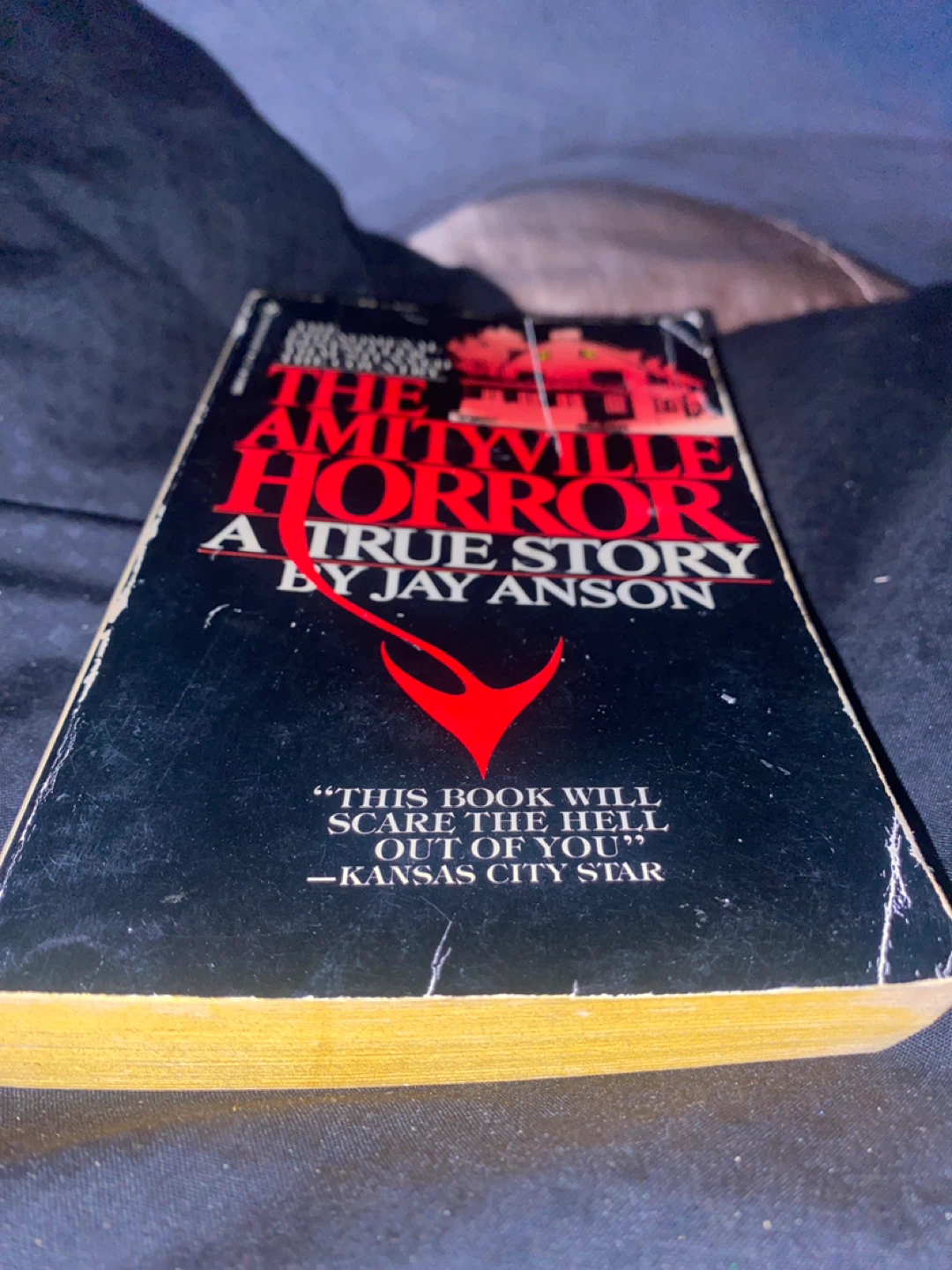 The Amityville Horror: A True Story by Jay Anson Paperback Book - photo 2