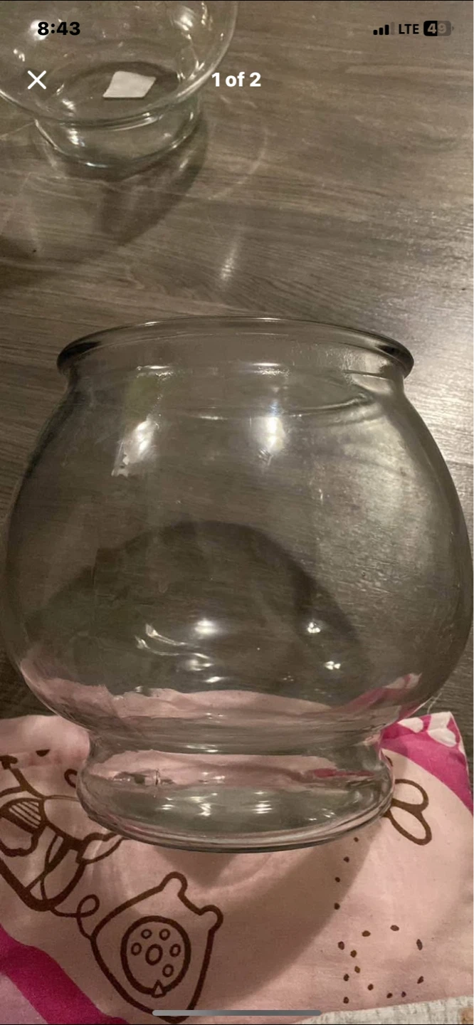 Clear Glass Bowl