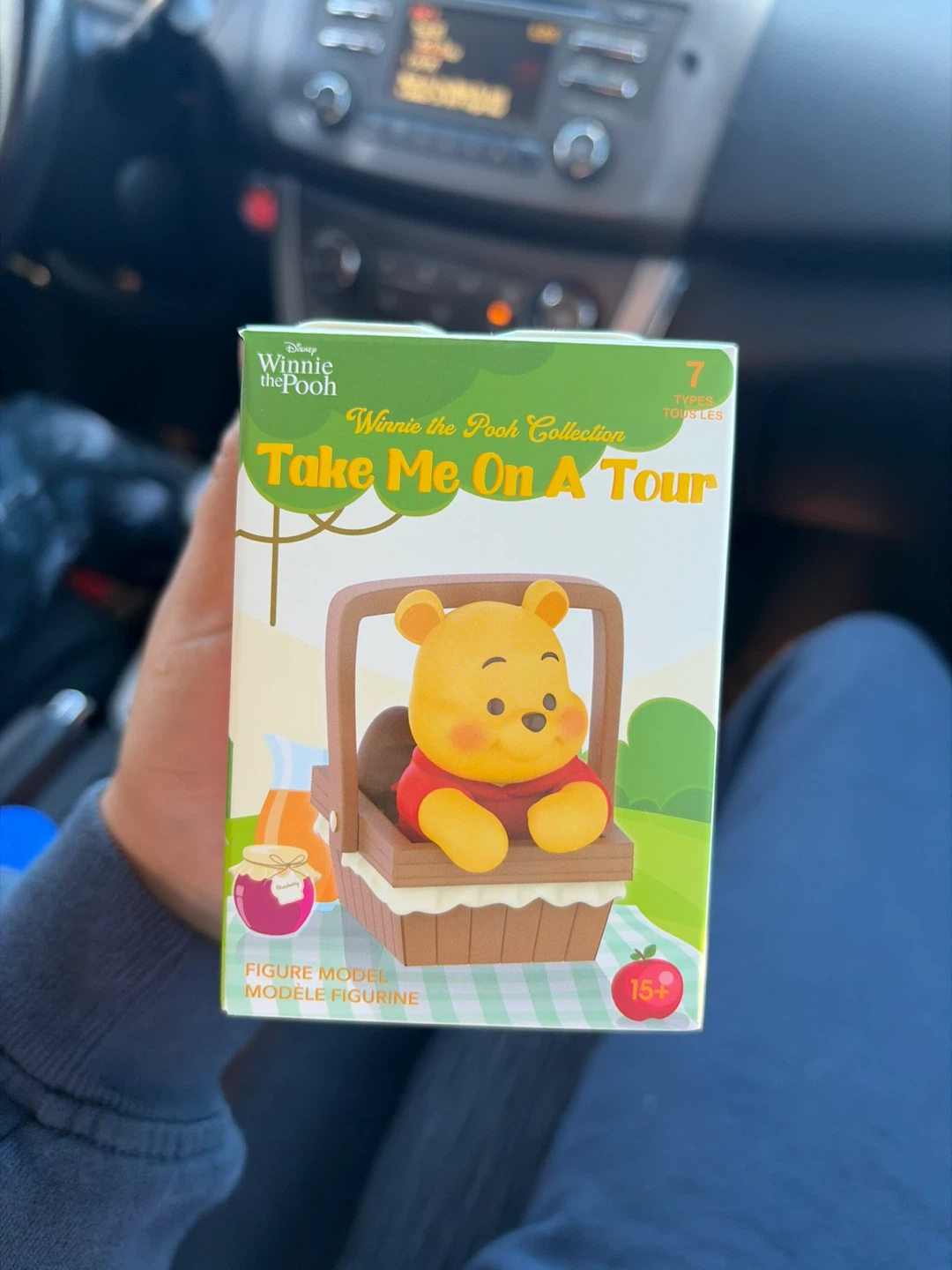 Disney Winnie the Pooh Take Me On A Tour Figure Model