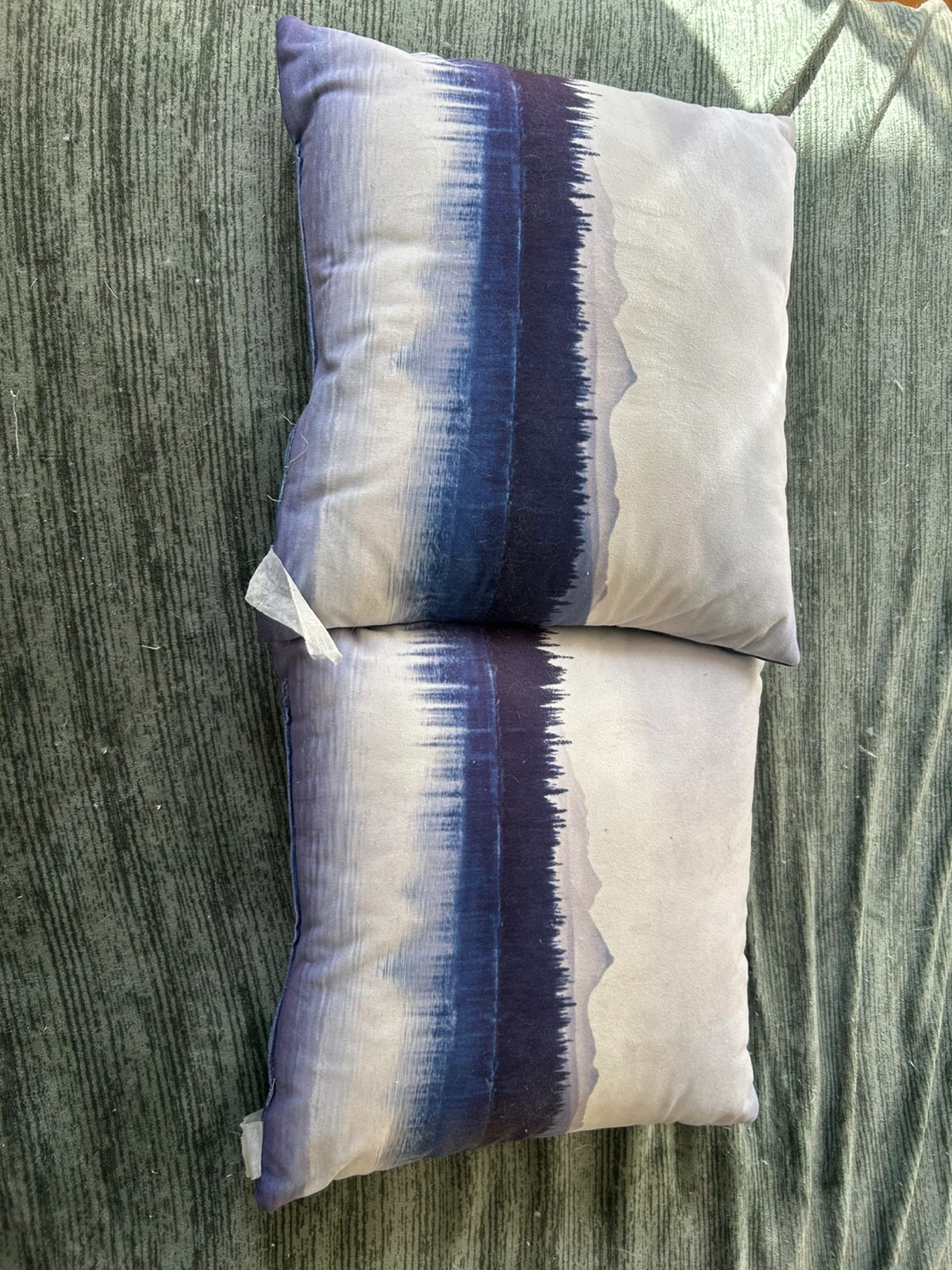 Set of 2 Decorative Throw Pillows