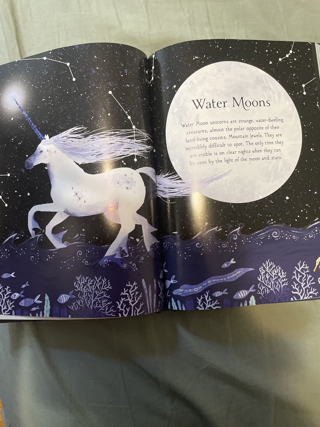The Magical Unicorn Society Official Handbook - photo 2