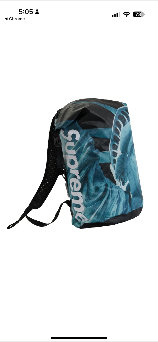 Supreme  North Face Statue of Liberty Backpack - photo 4