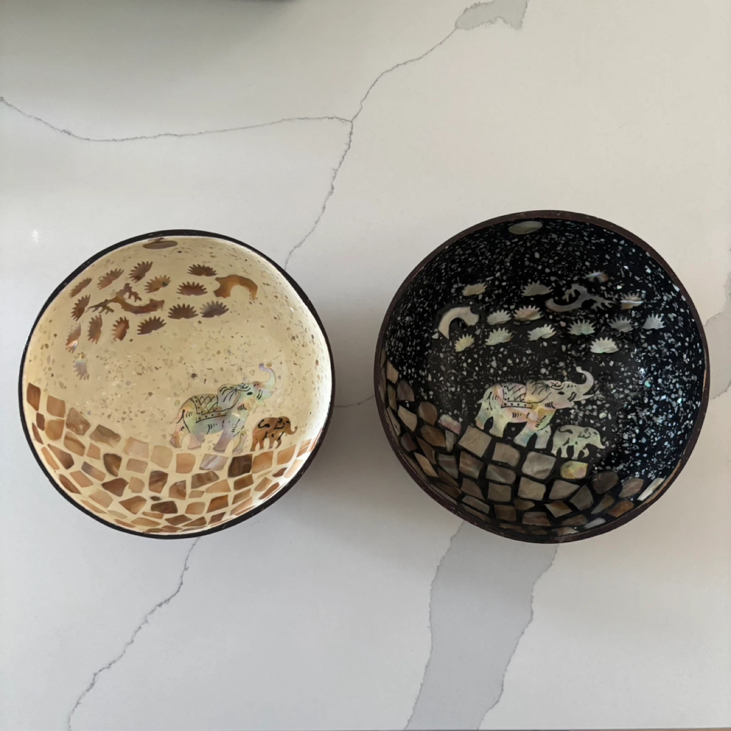 Coconut Shell Bowls