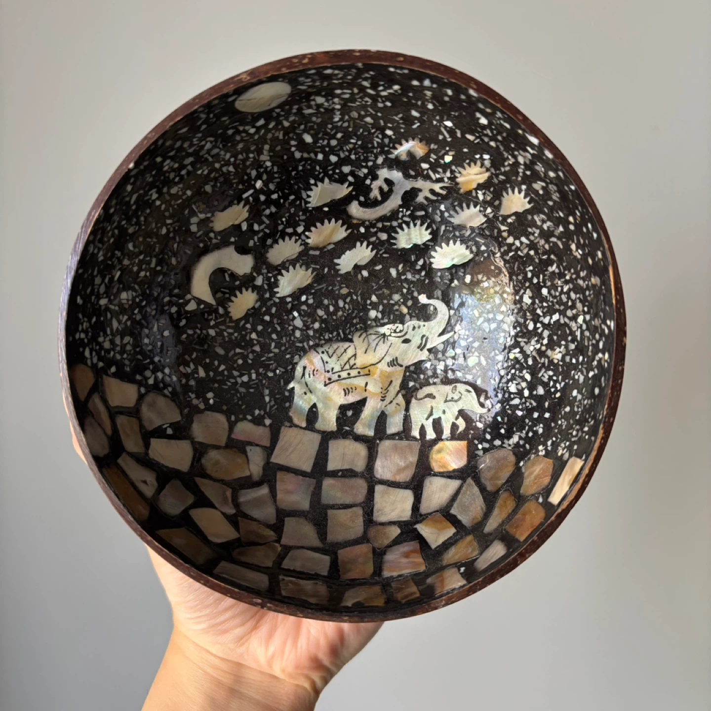 Coconut Shell Bowls - photo 2