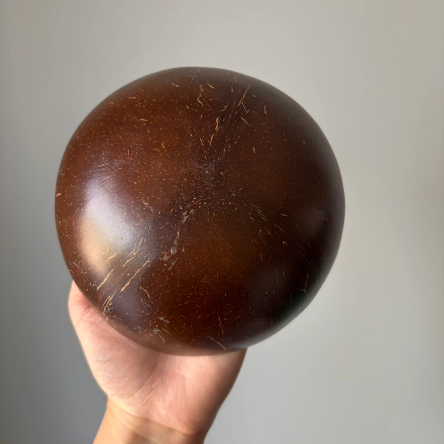 Coconut Shell Bowls - photo 5