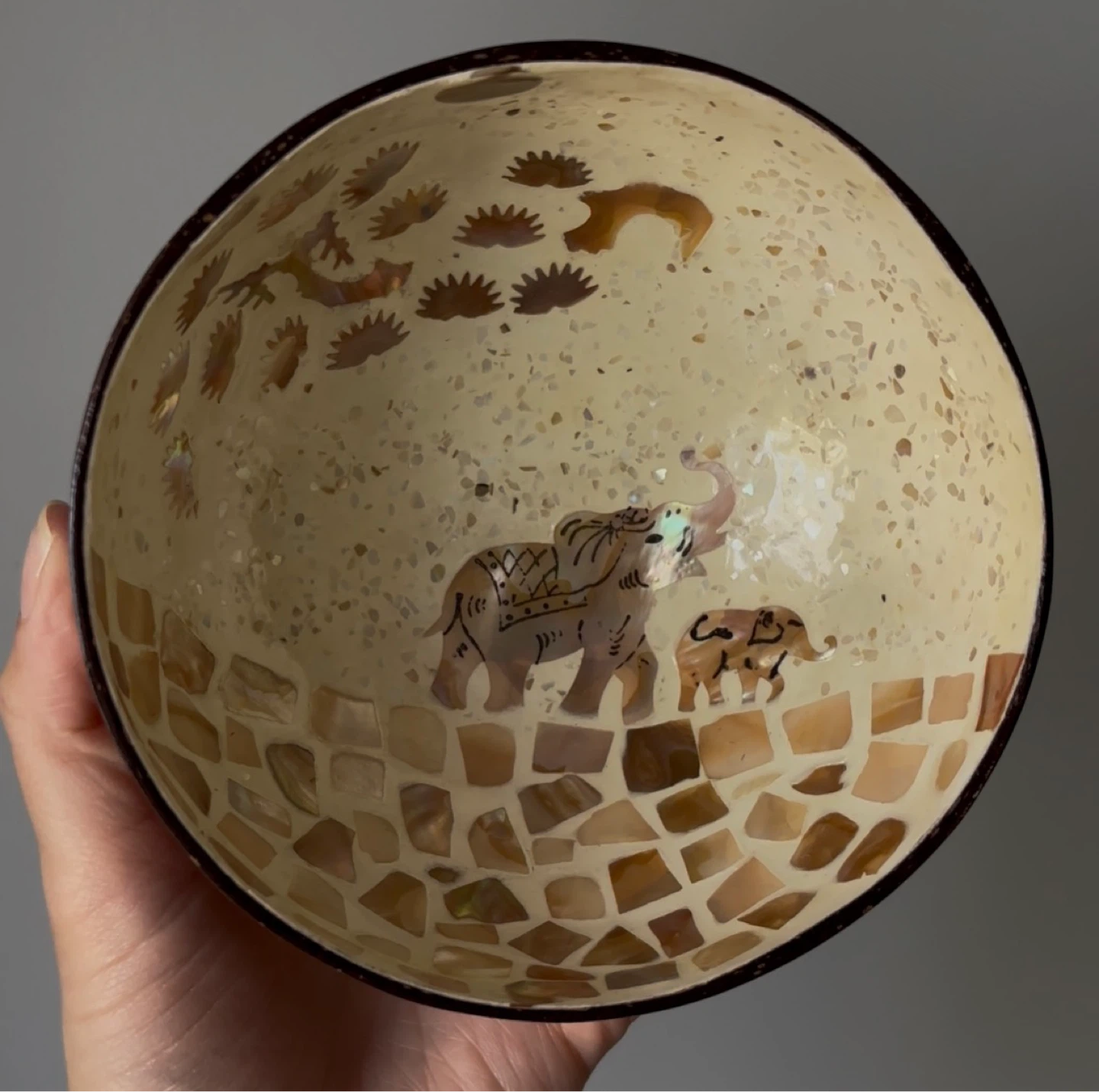 Coconut Shell Bowls - photo 3