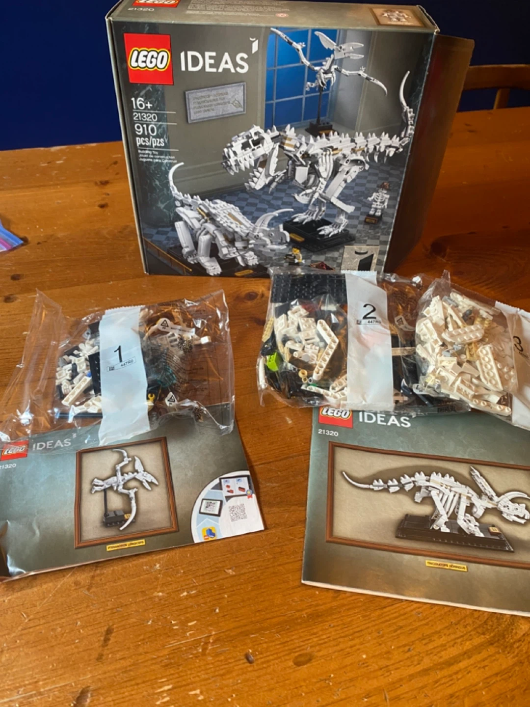 LEGO Ideas 21320 Dinosaur Fossils Building Kit - photo 2
