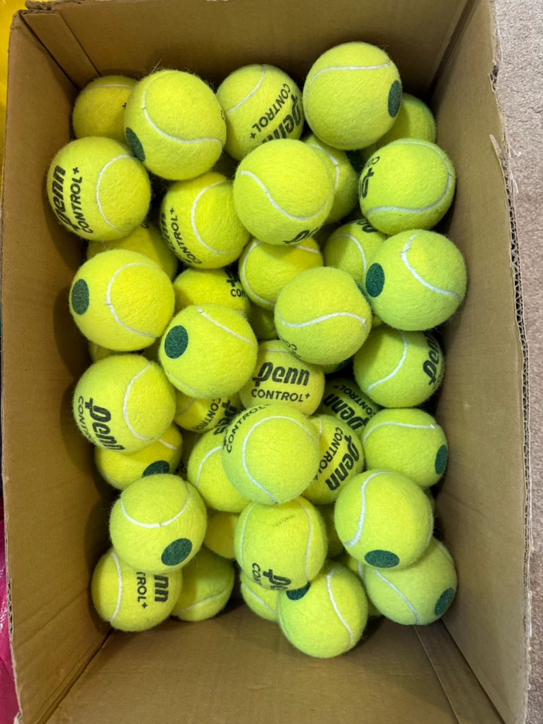 Penn Control+ Green Dot Tennis Balls