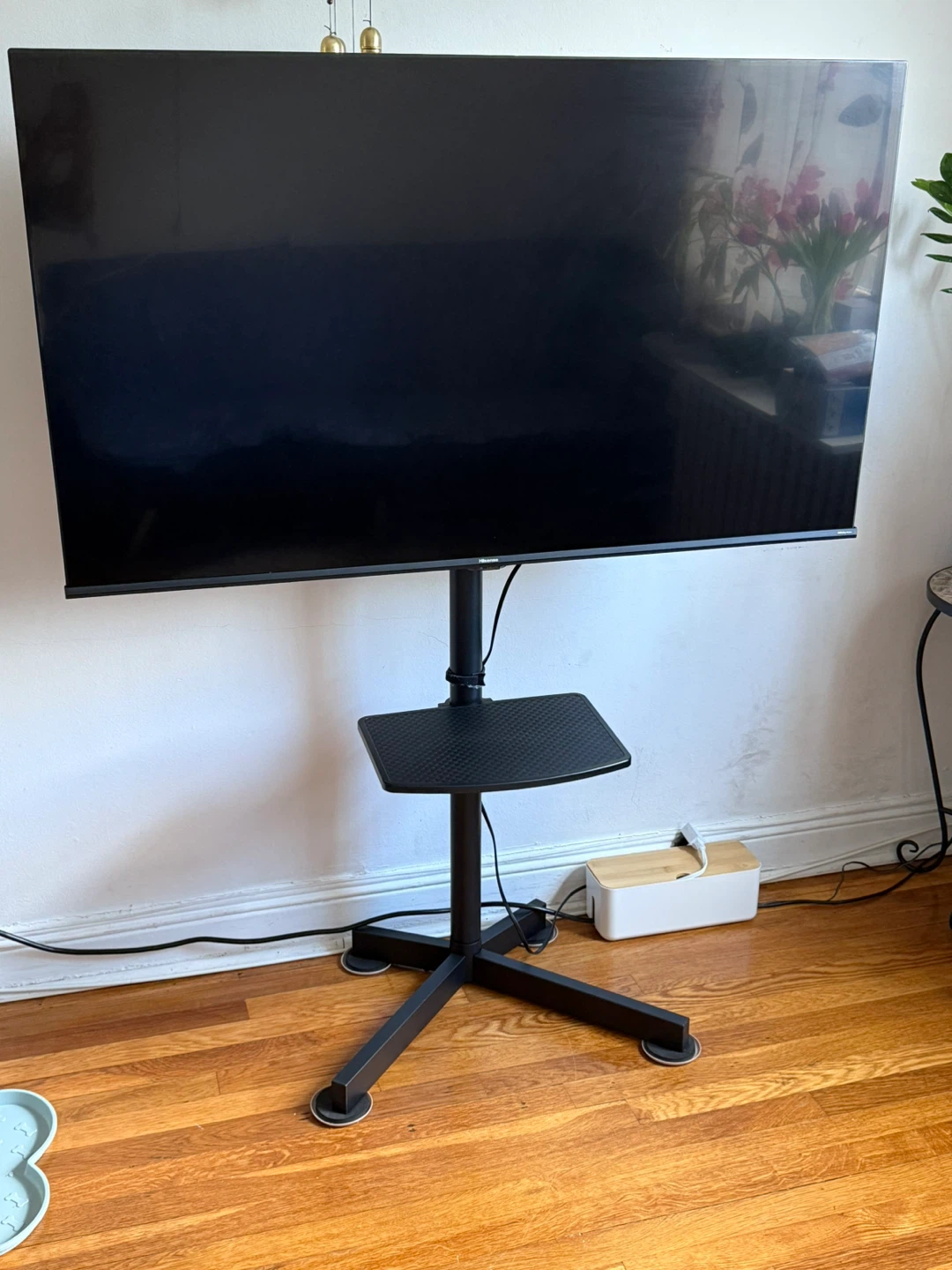 Hisense 50 inch tv only