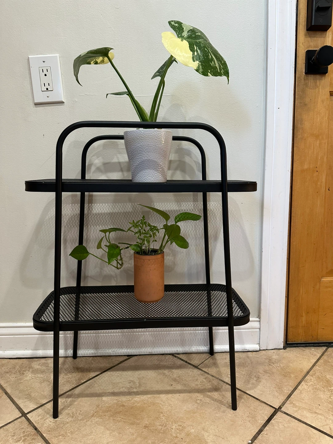 Black Metal 2-Tier Mesh Shelf Plant Stand