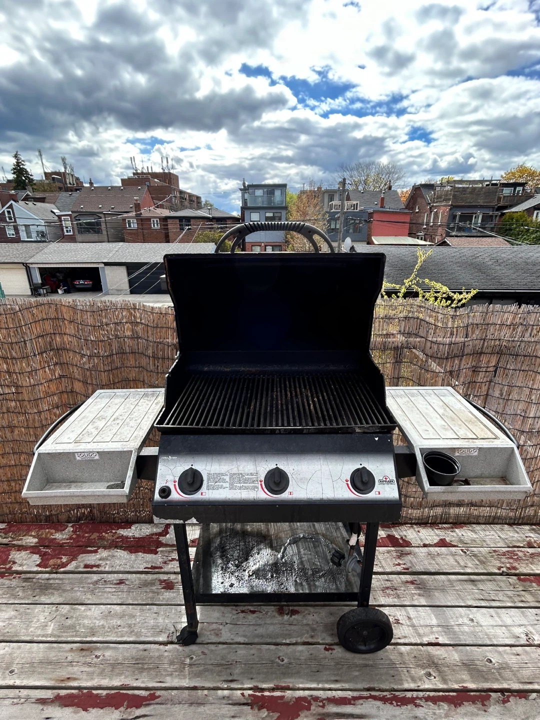 Napoleon Gas Grill