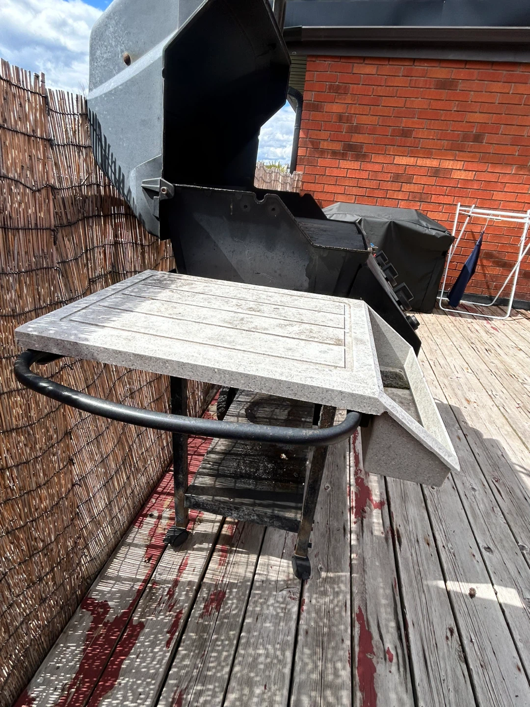 Napoleon Gas Grill - photo 4