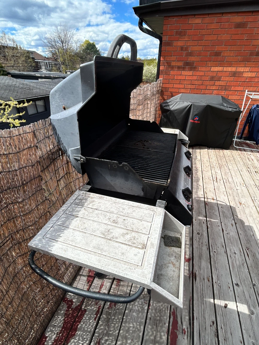 Napoleon Gas Grill - photo 3