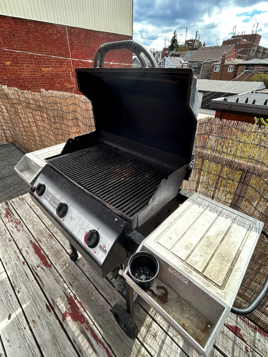 Napoleon Gas Grill - photo 2