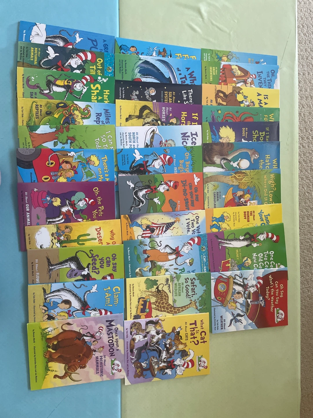 Set of 32 The Cat in the Hat learning Library books
