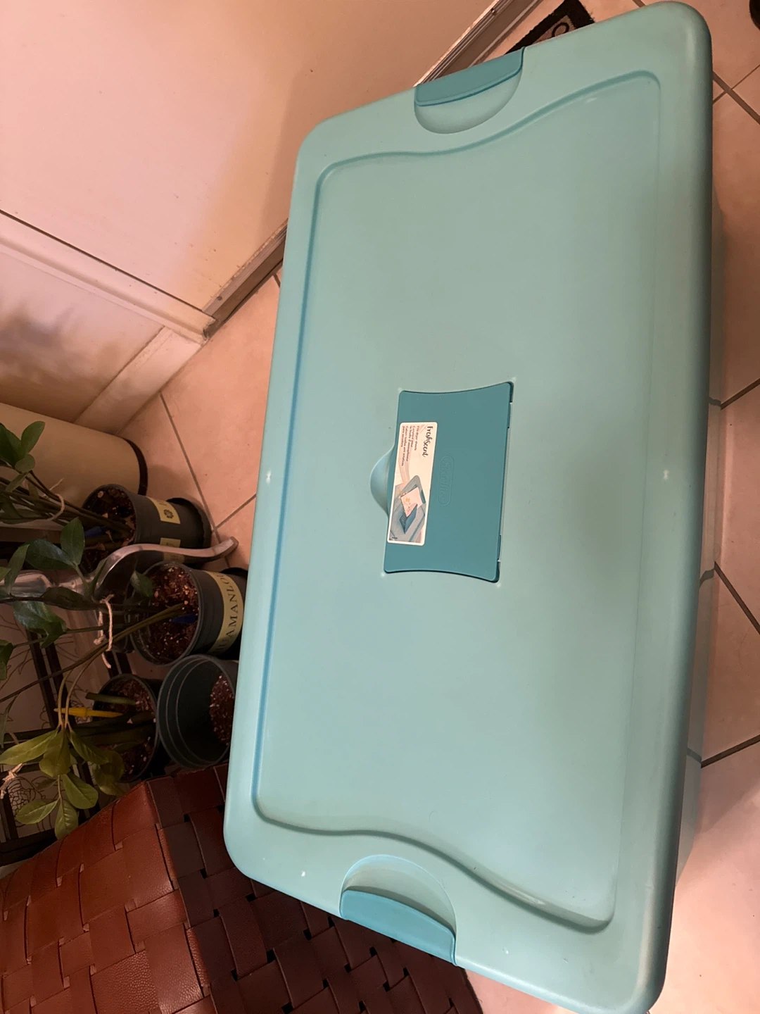 Aqua Plastic Storage Bin with Lid - photo 2