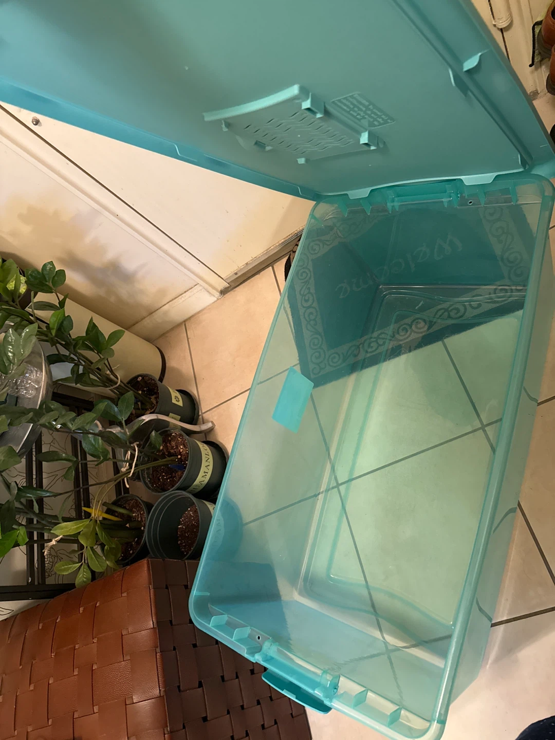 Aqua Plastic Storage Bin with Lid - photo 3